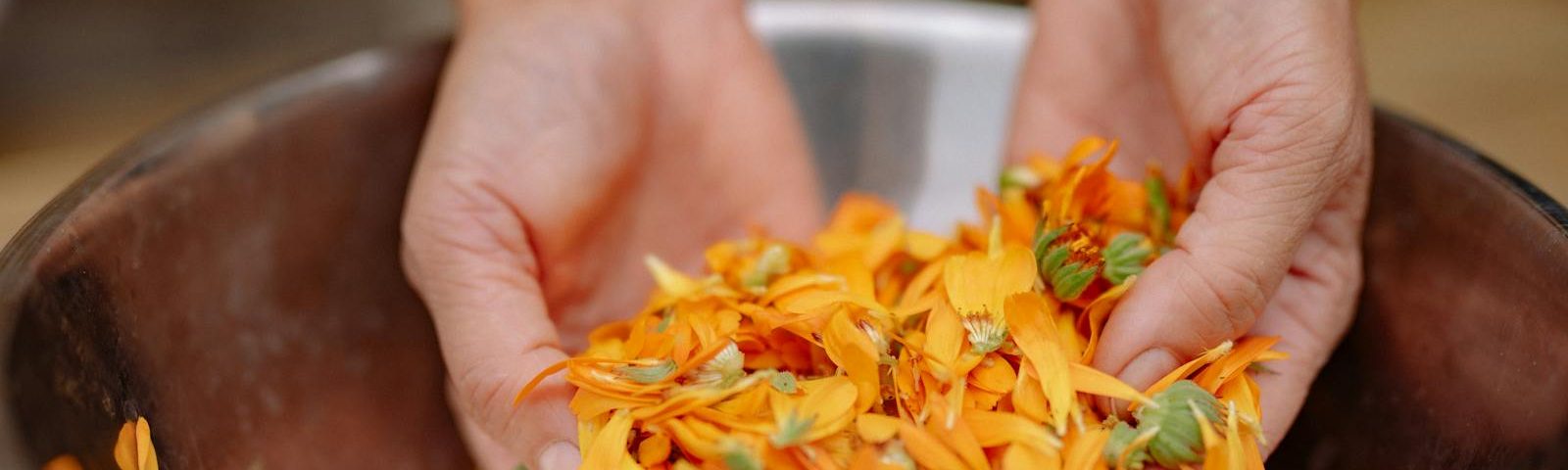 Close-up image of hands holding vibrant orange flower petals in a steel bowl, showcasing nature's colors.